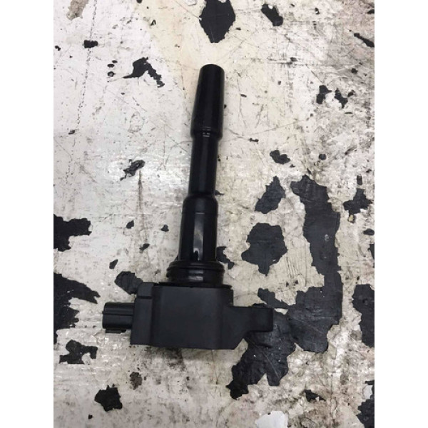 Bobina De Ignição Duster 1.6 2019 Original Promoção