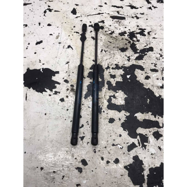 Par Amortecedor Tampa Traseira Renault Duster 2019 Original