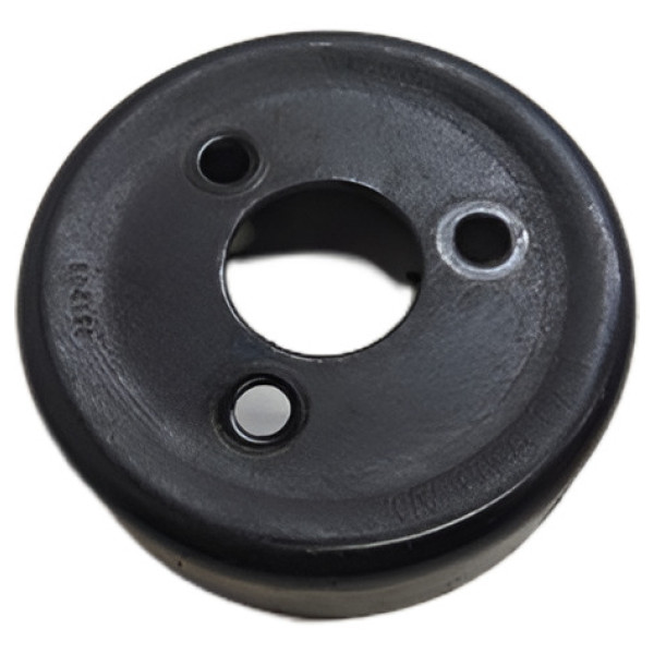 Polia Bomba Dágua Ford Ecosport 2.0 16v 2008 / 2009 / 2010