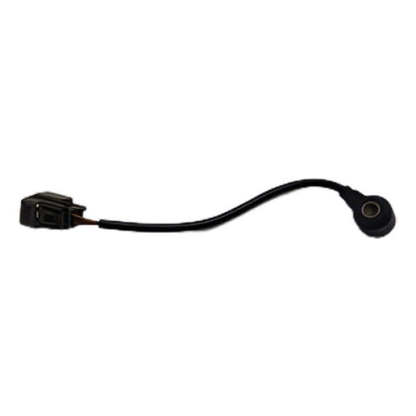 Sensor Detonaçao Ford Ecosport 2.0 16v 2009 / 2010